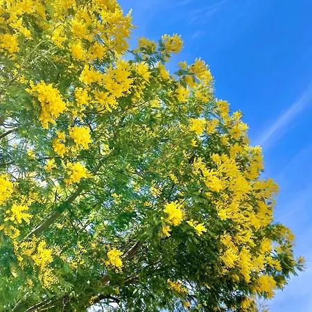 Cozy In Calm Appartement *